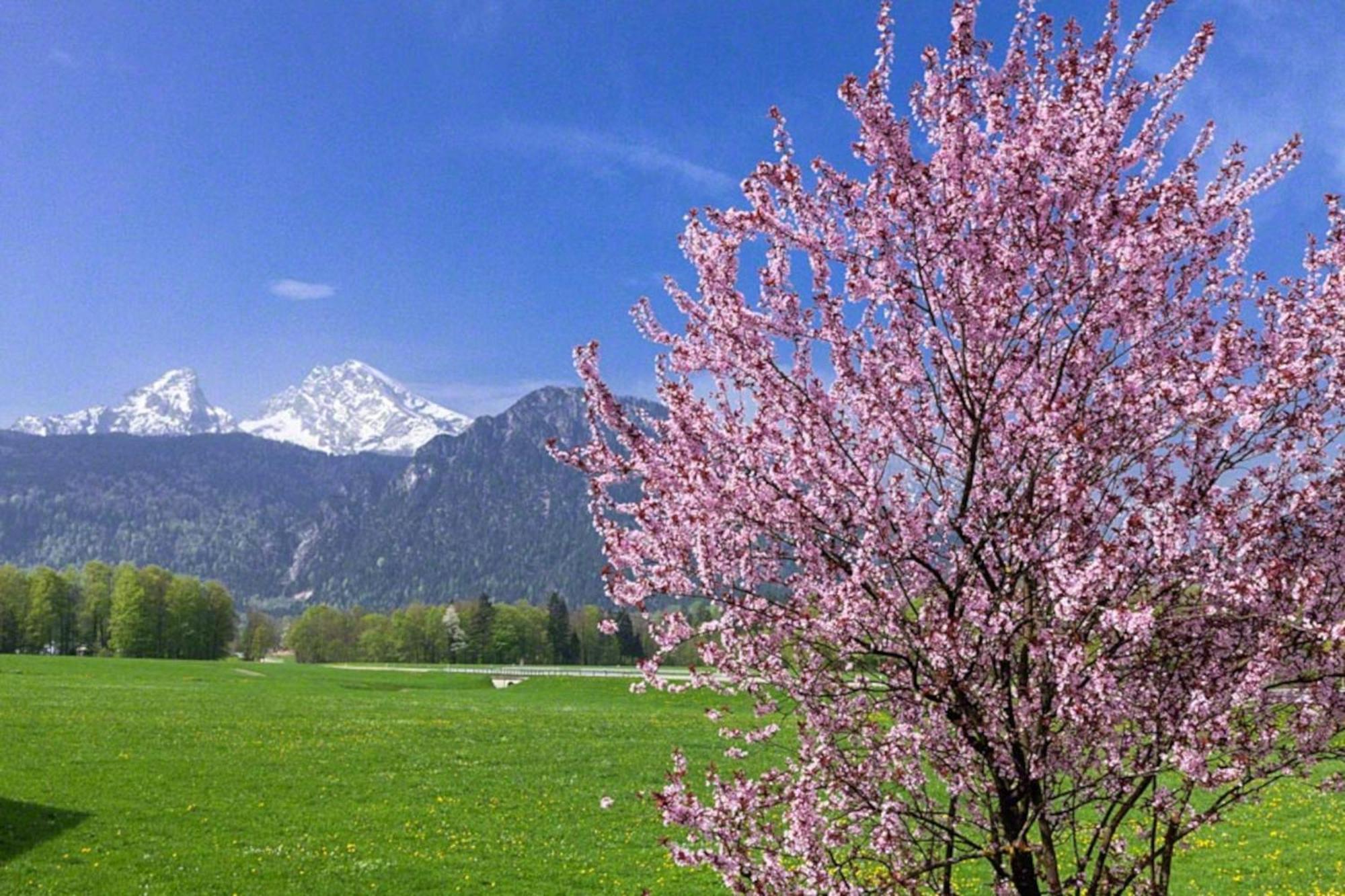 Schönau am Königssee Ferienwohnung Triembachhof מראה חיצוני תמונה