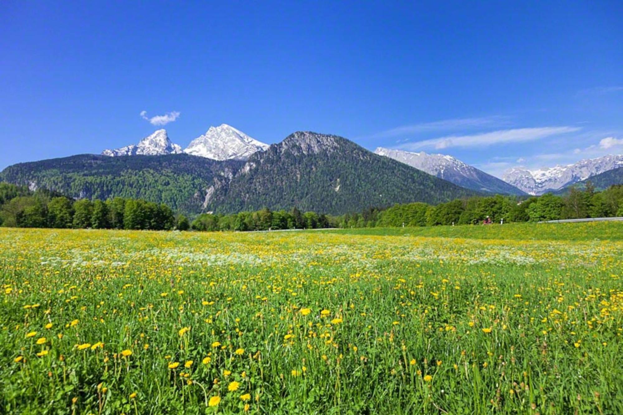 Schönau am Königssee Ferienwohnung Triembachhof מראה חיצוני תמונה